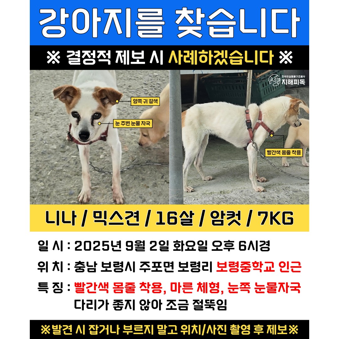 Post image 11