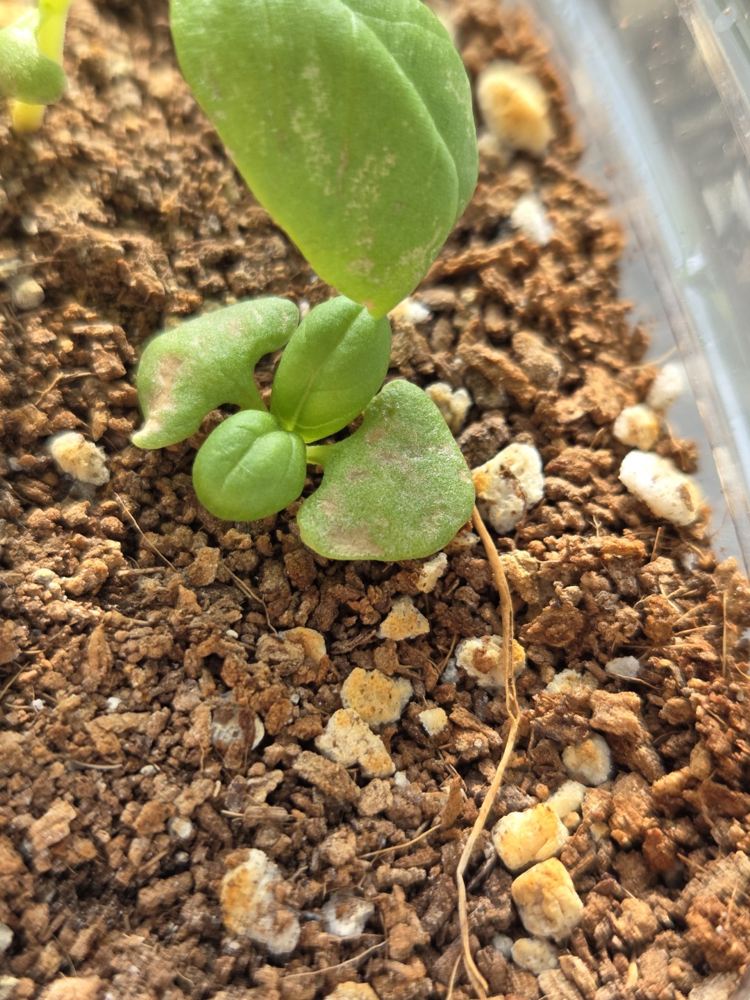 Post image 3