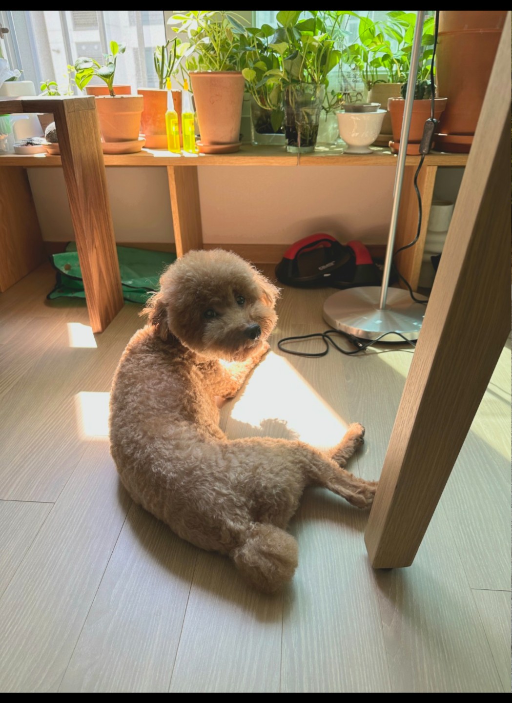 Post image 15