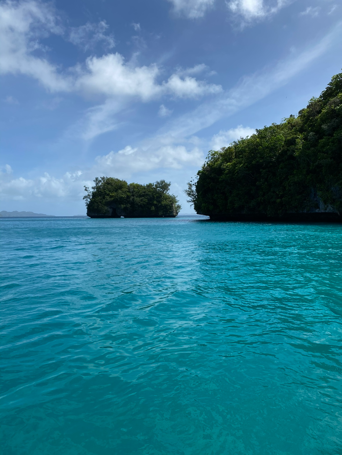 Post image 6