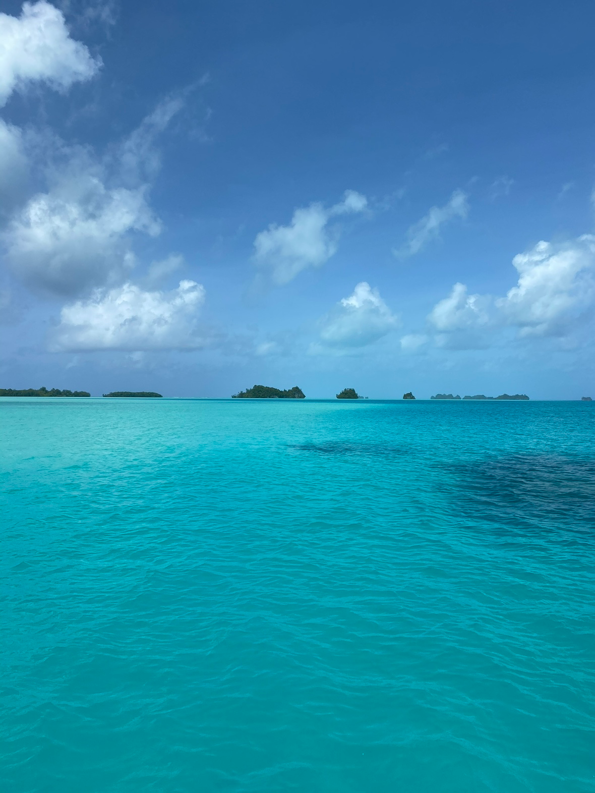 Post image 18
