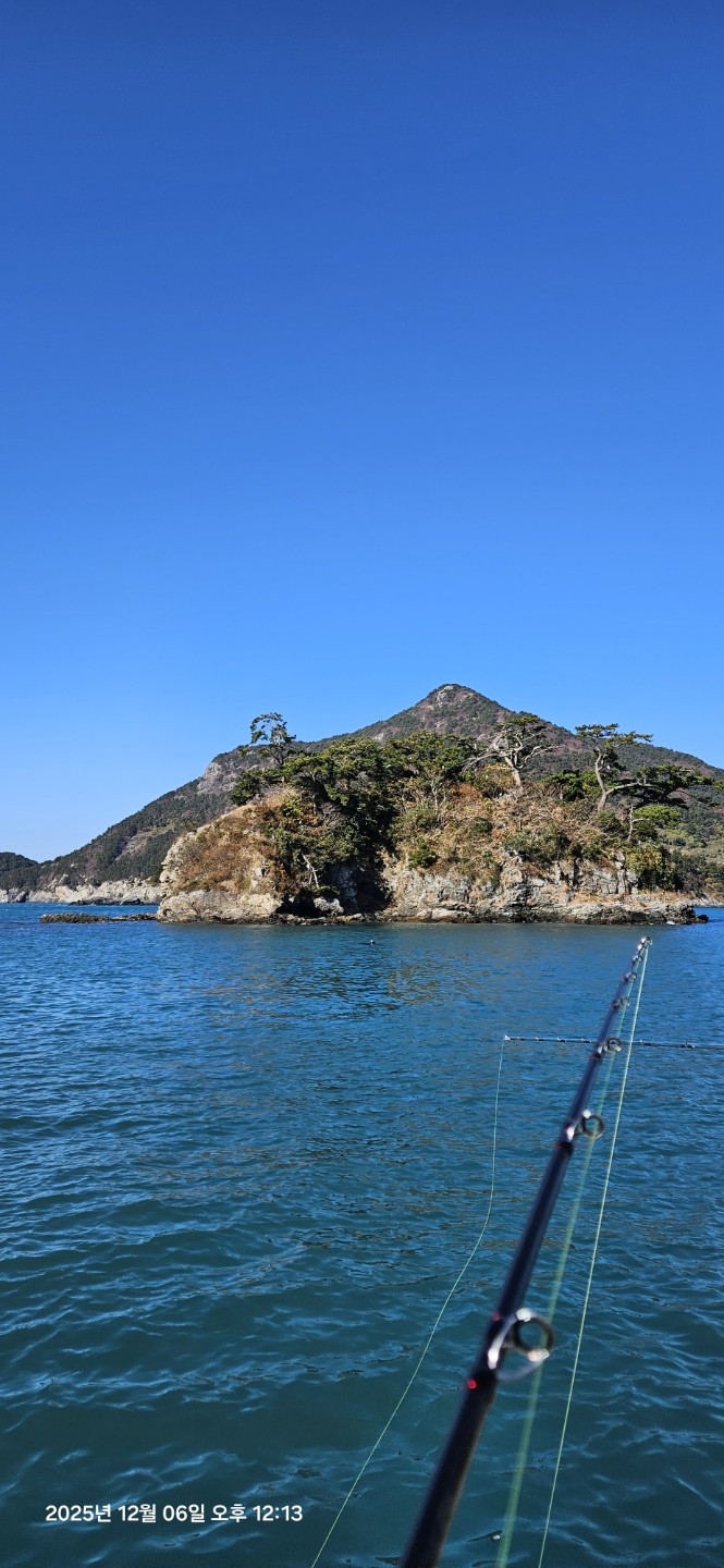 여수 문어 쭈꾸미 조황~~~