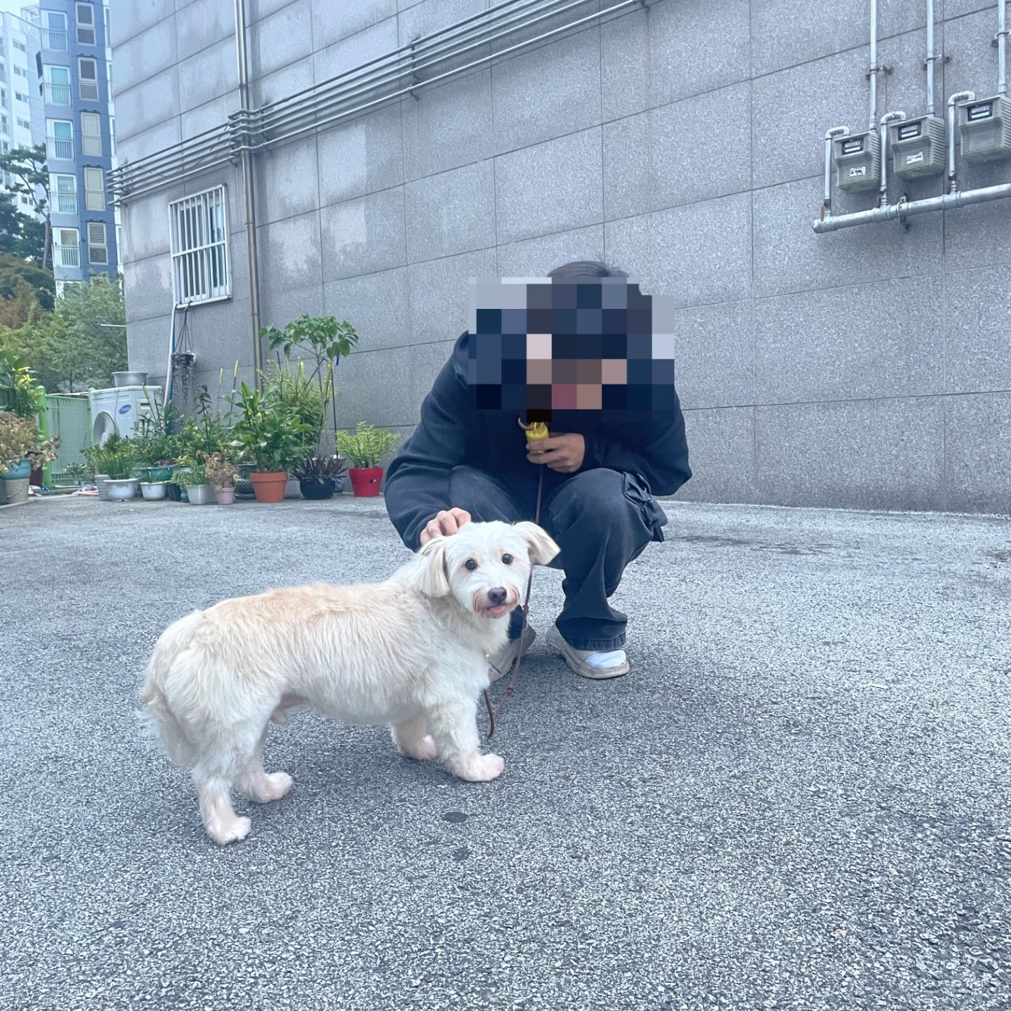 Post image 13