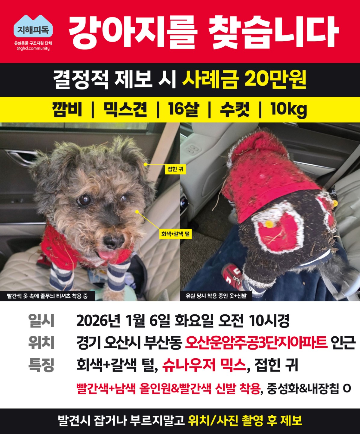 Post image 11