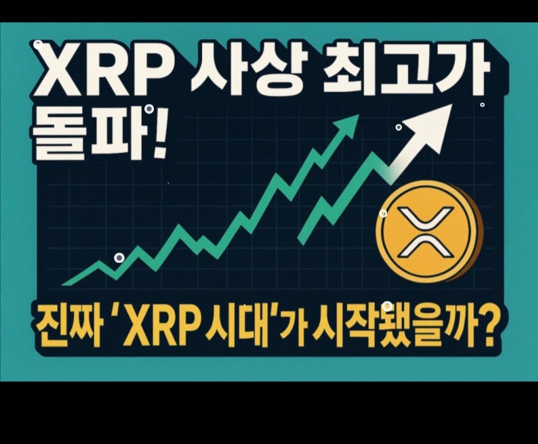 필독! 공지사항