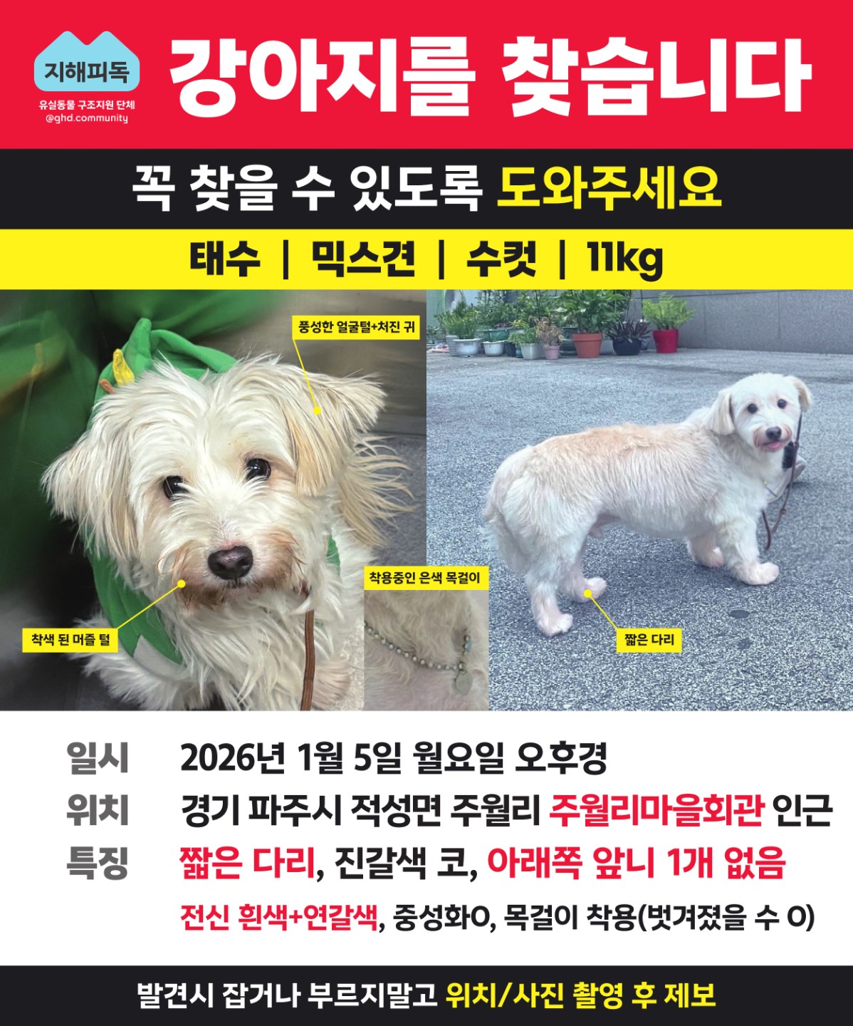 Post image 14