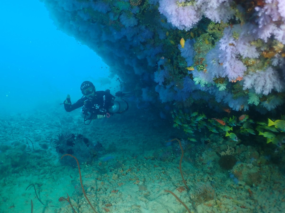 Post image 19