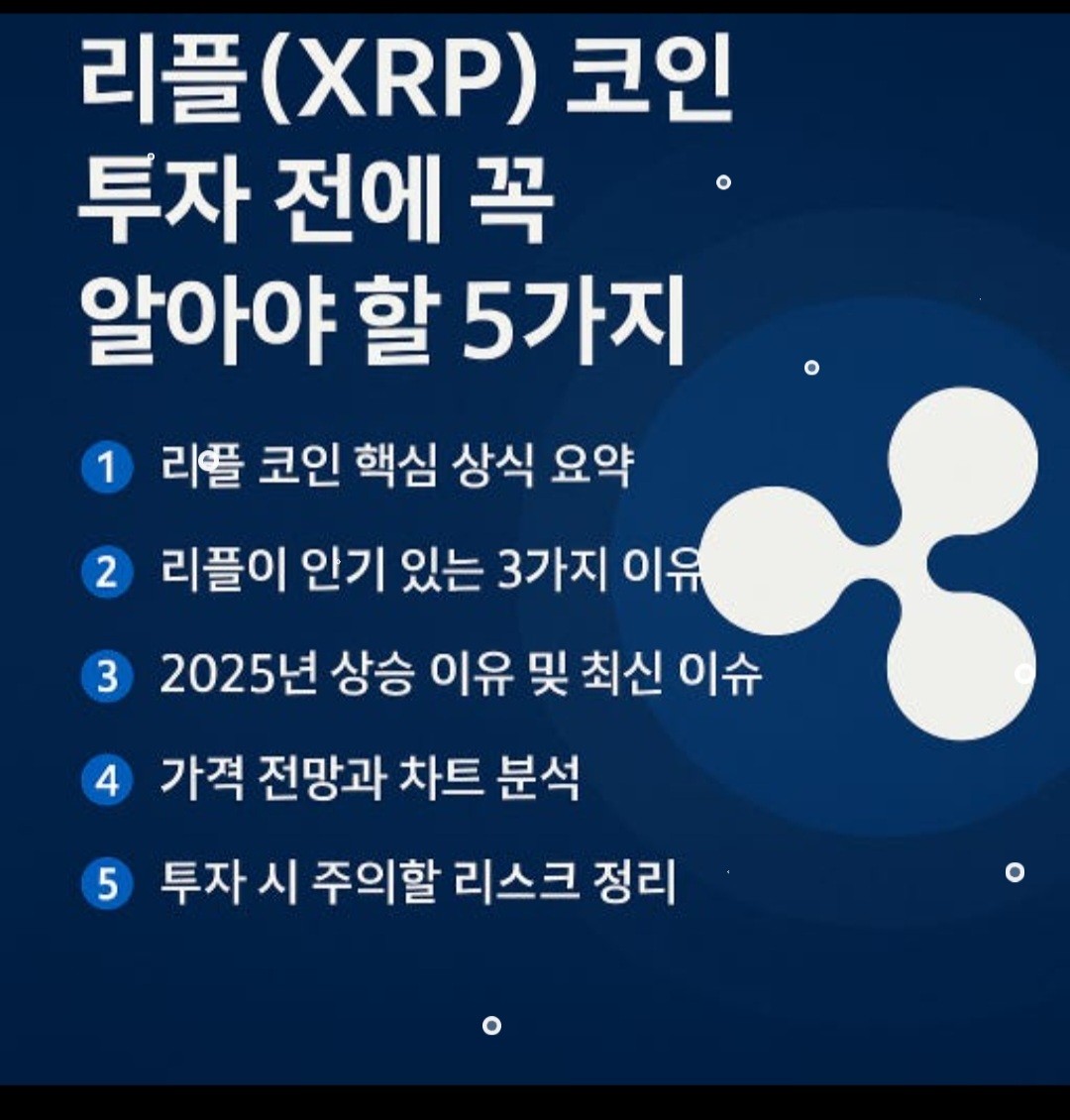 필독! 공지사항