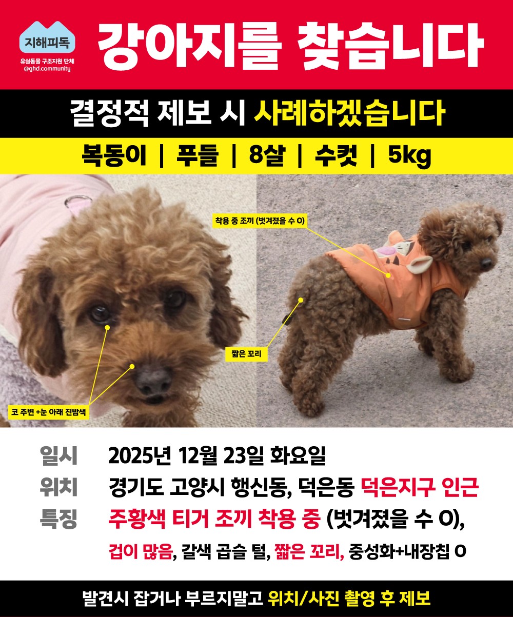 Post image 10