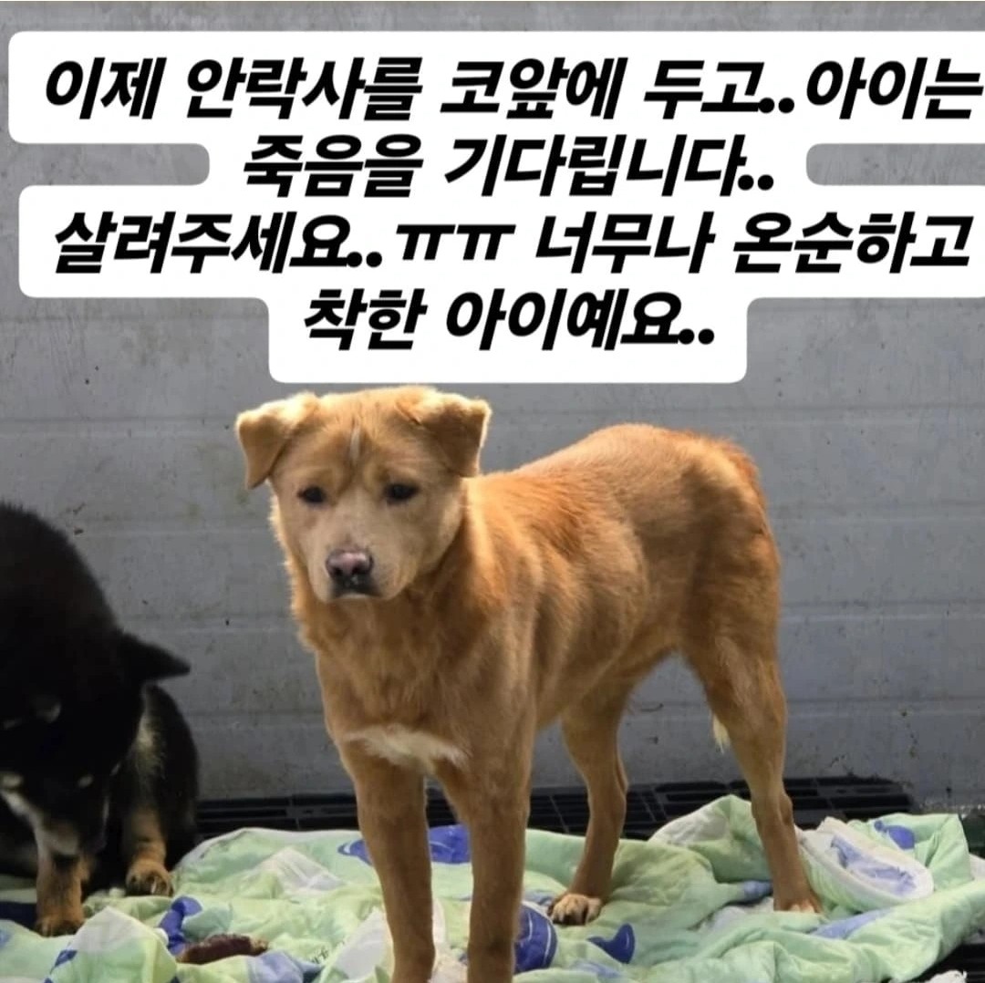 Post image 17