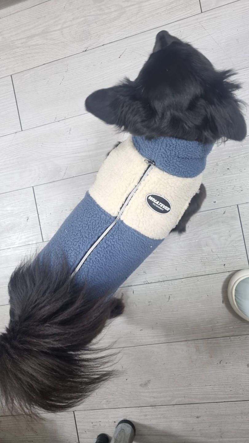 내옷을 강아지 옷으로~