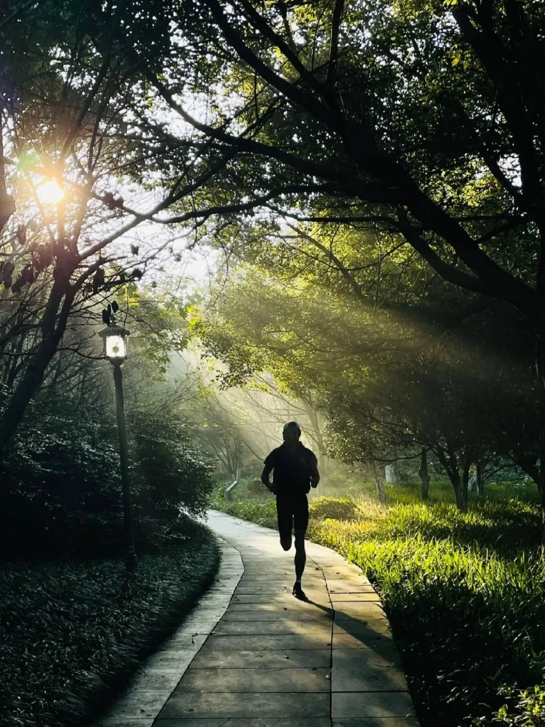 건강 운동, 건강 생활