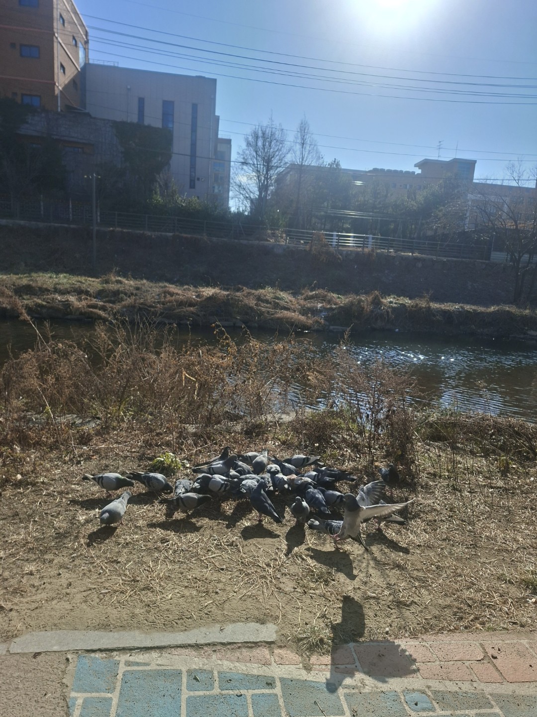 Post image 5