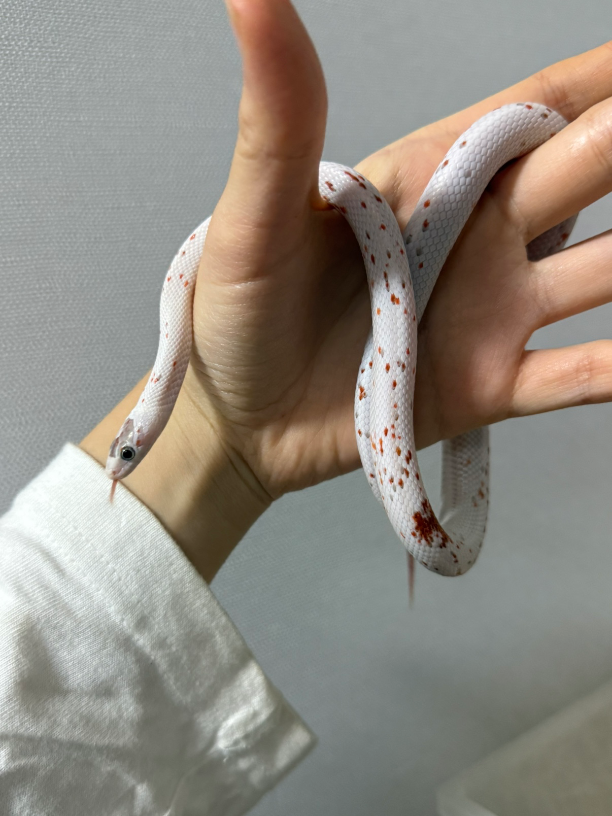 Post image 7