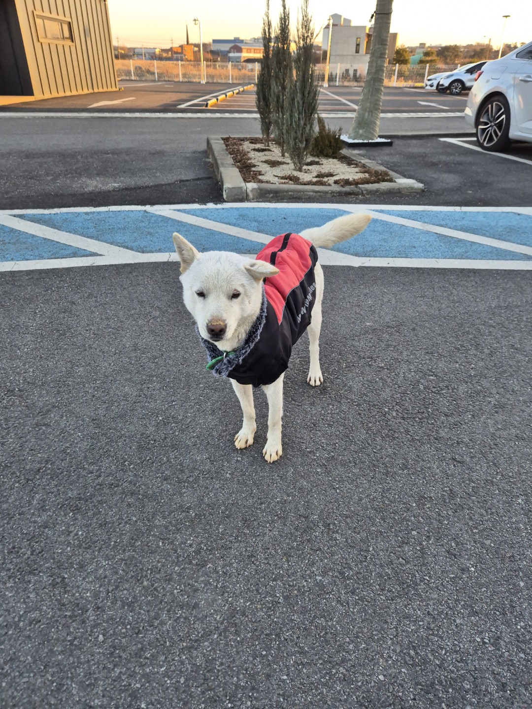 Post image 10