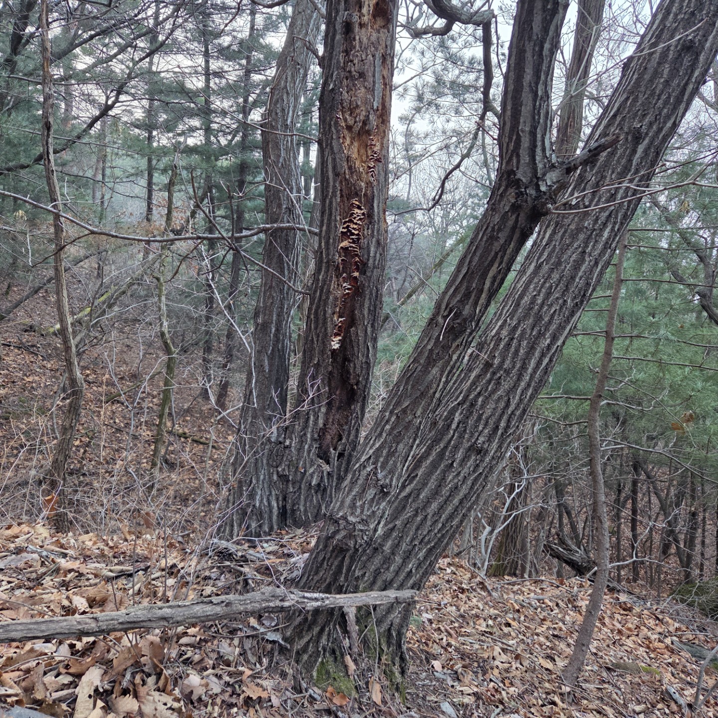 Post image 6