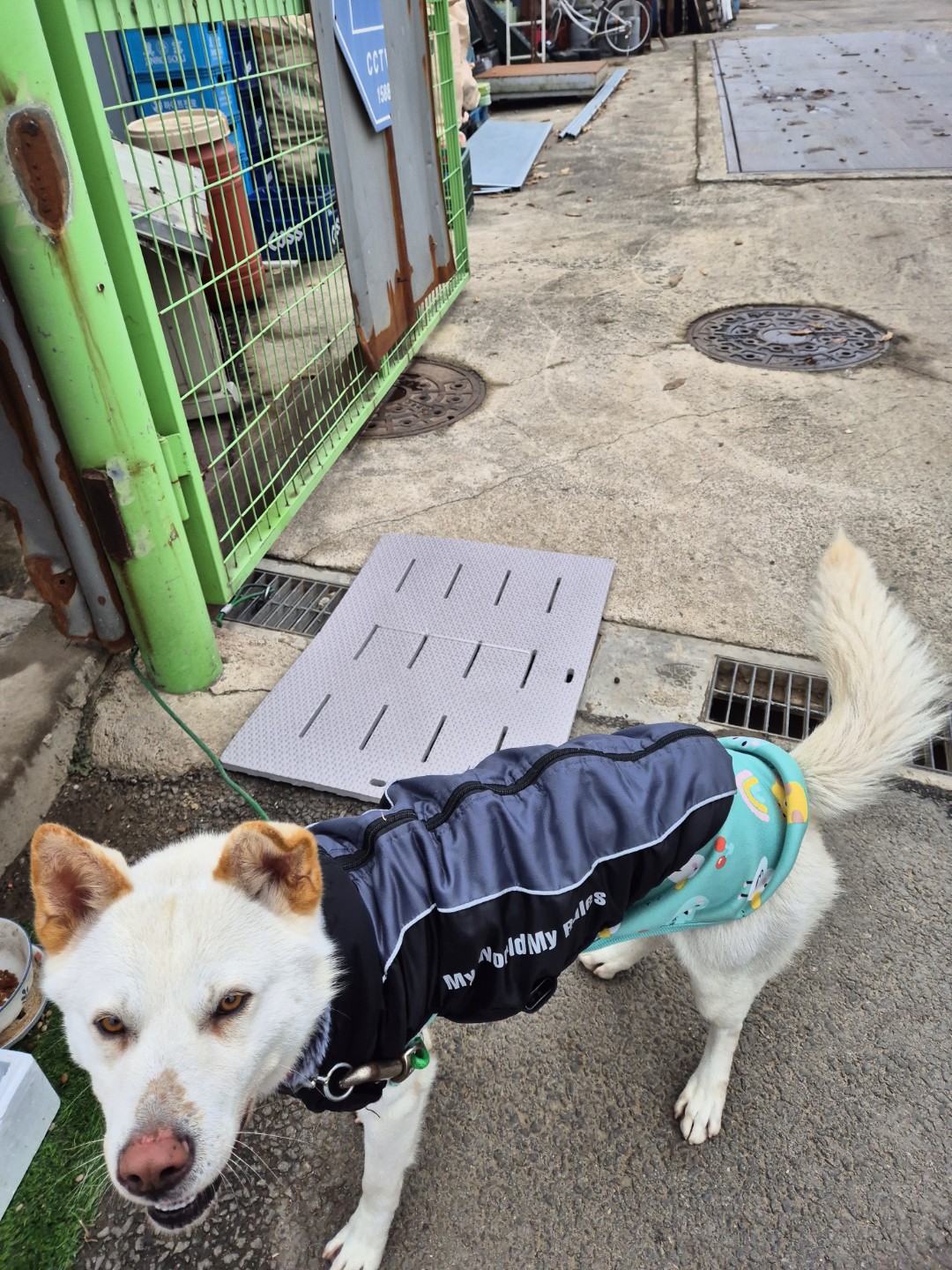 Post image 13