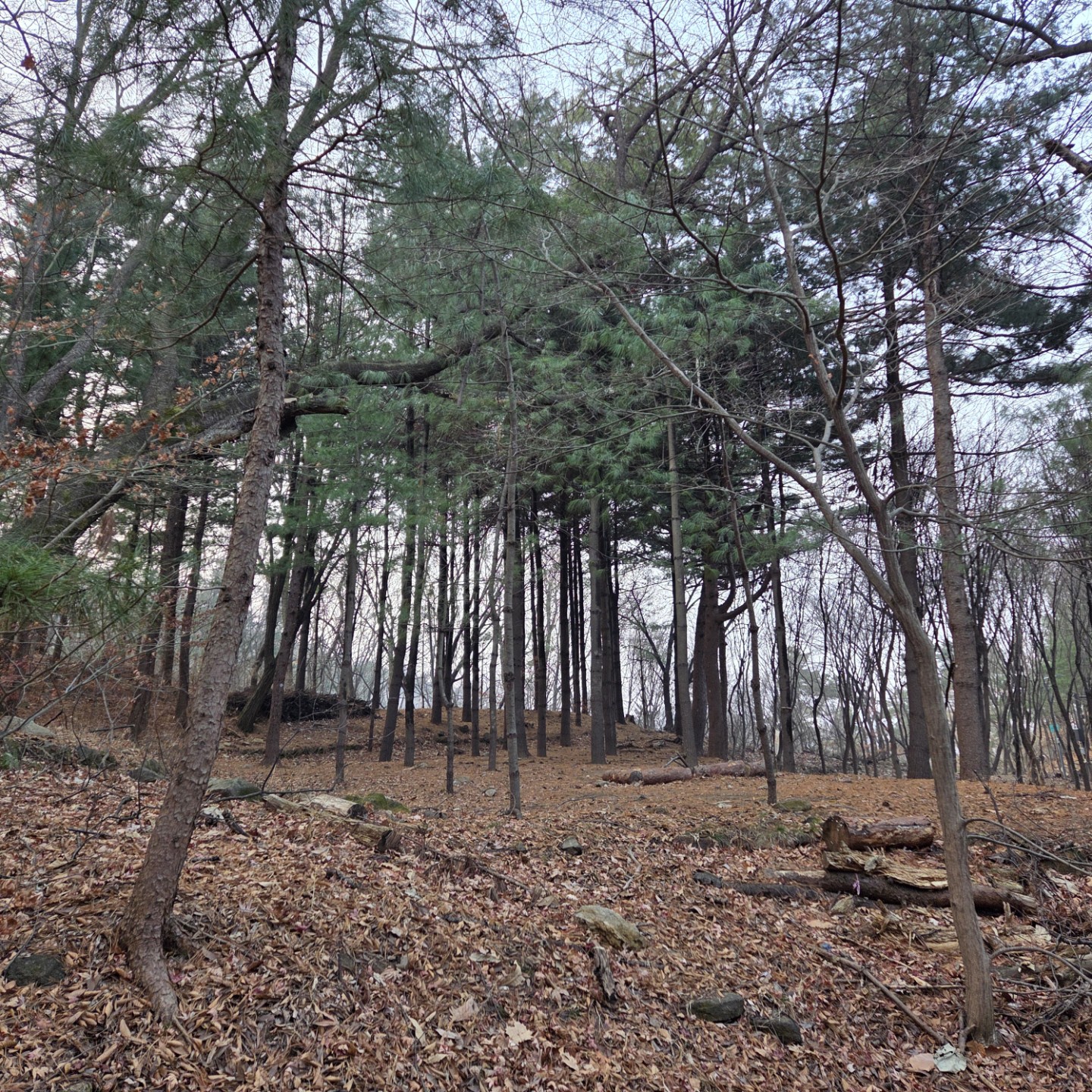 Post image 7