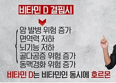 저탄고지와 콜레스테롤 수치, 비타민D의 관계