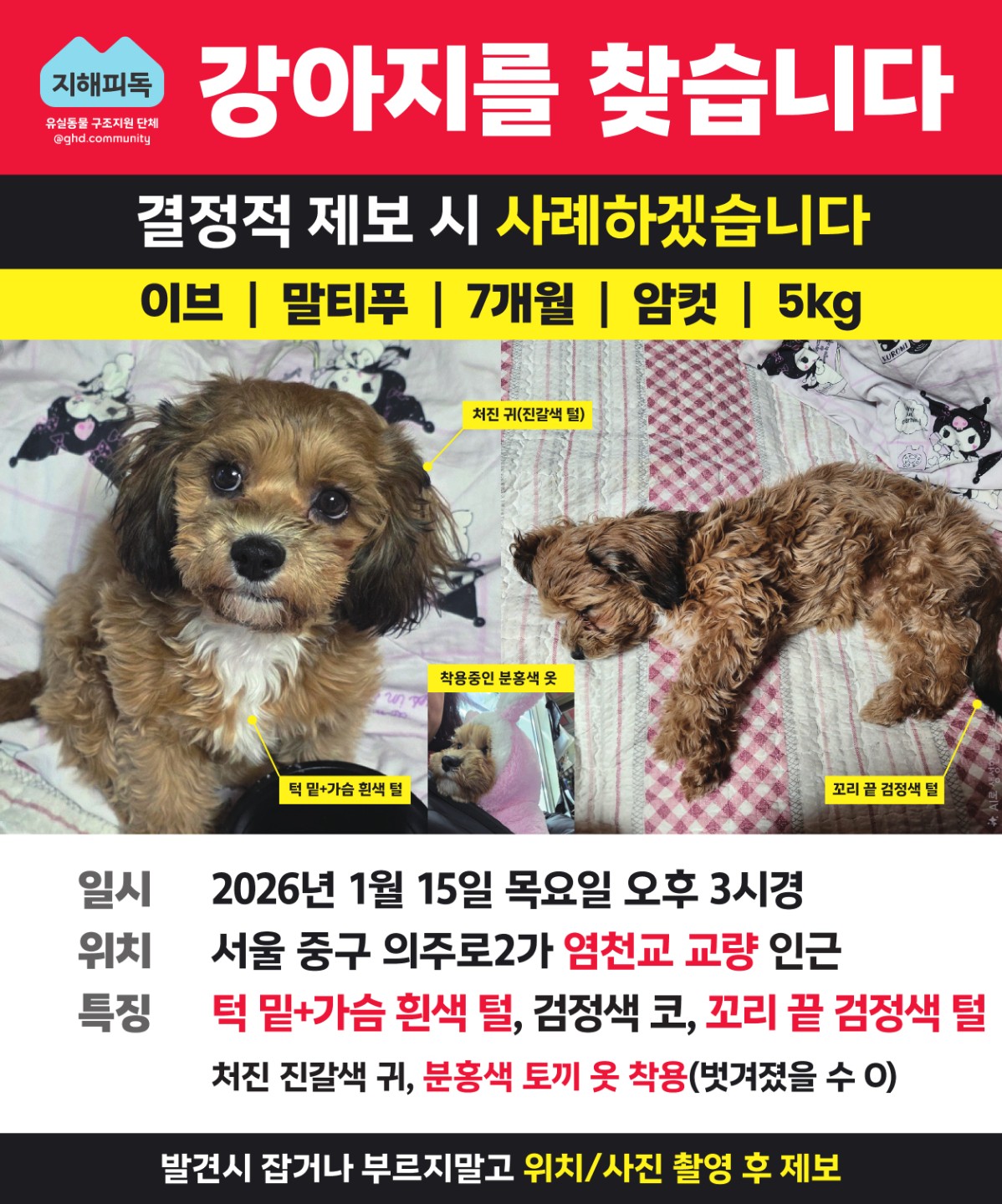 Post image 21