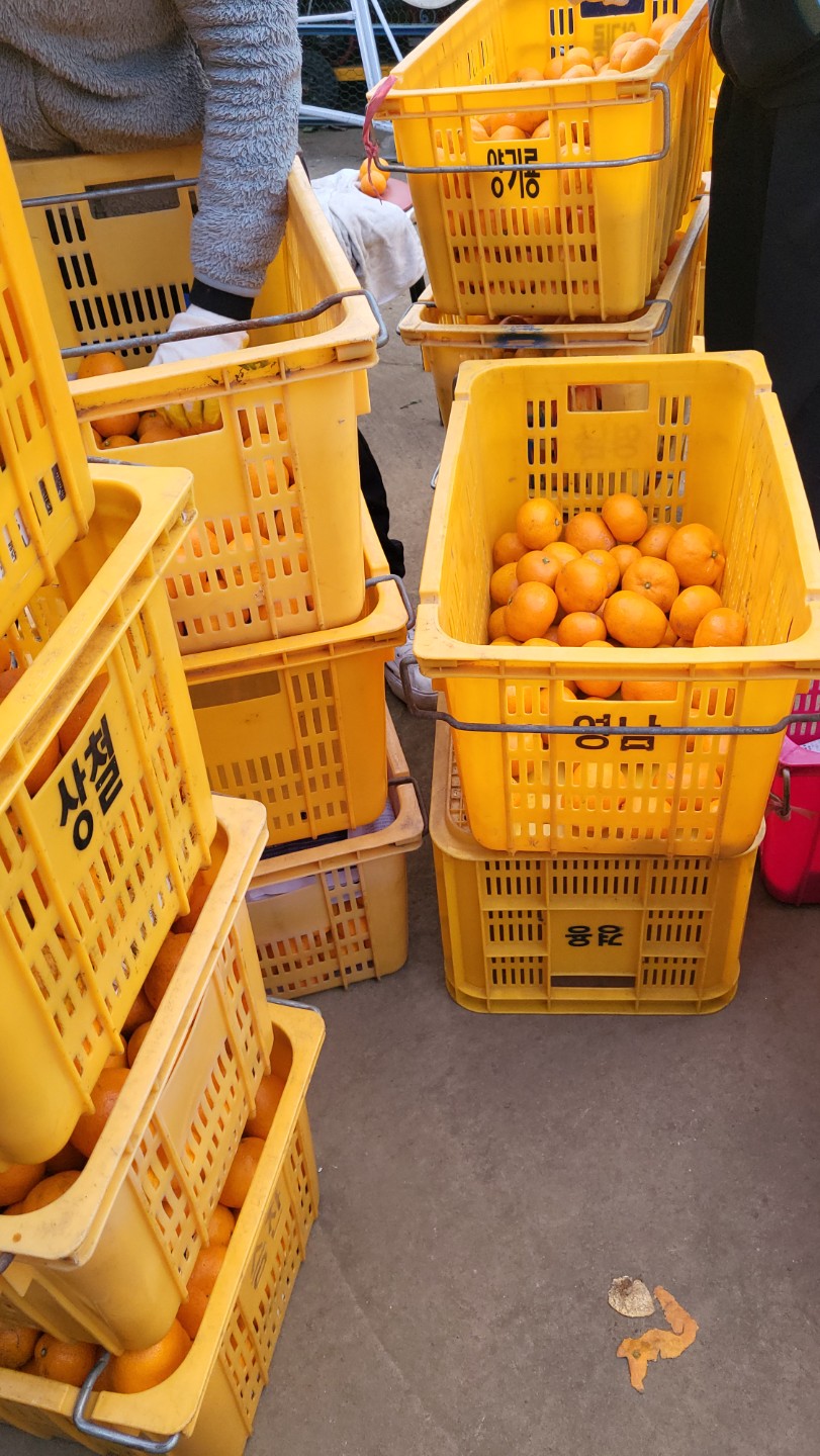 멤버 14명이나 모였네요 감사합니다 🍒🍒