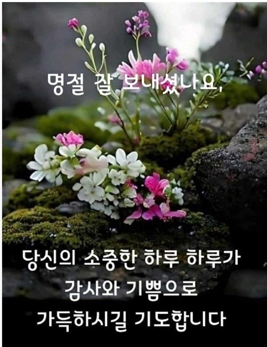 Post image 10
