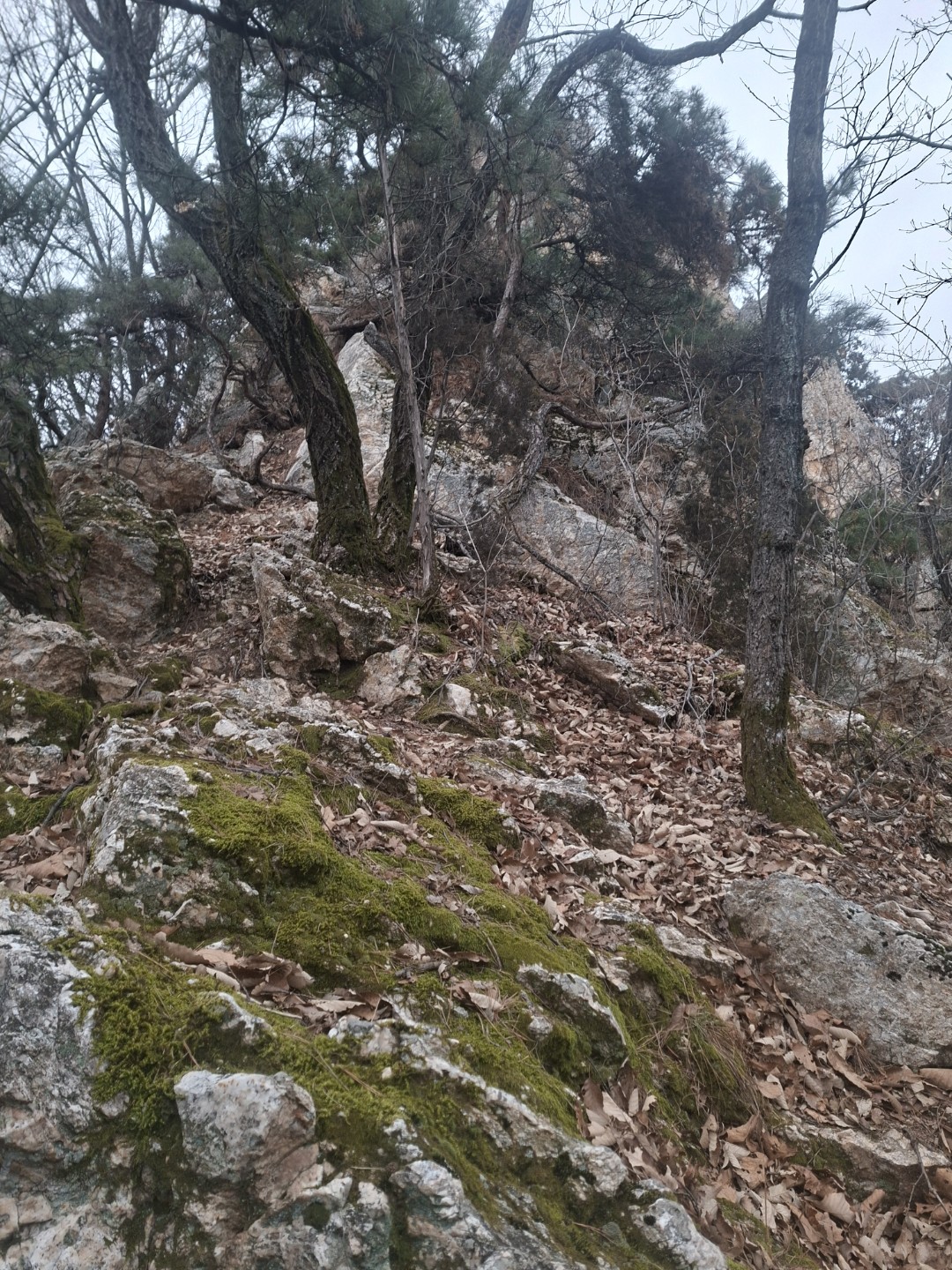 Post image 6