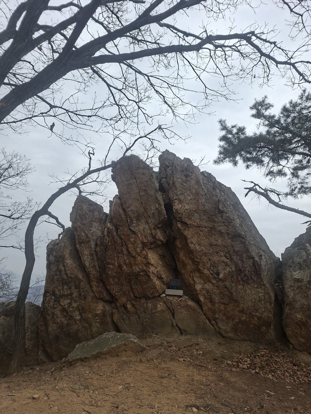 Post image 7