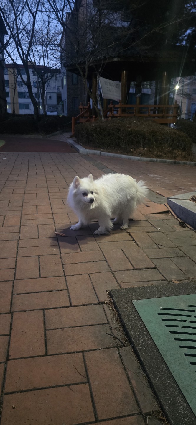 Post image 5
