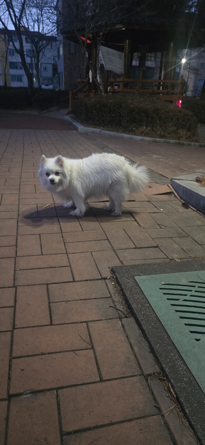 Post image 4