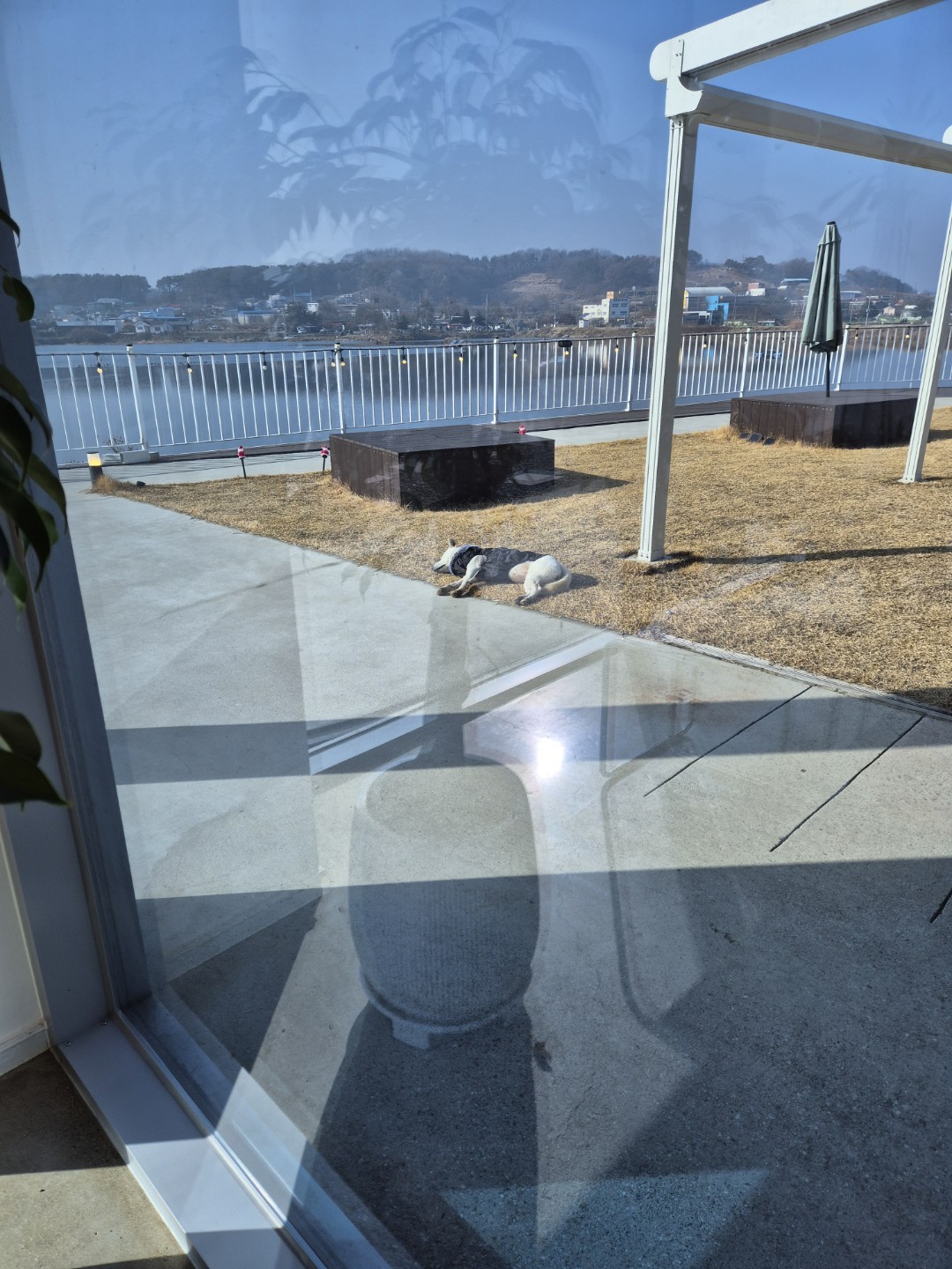 Post image 11