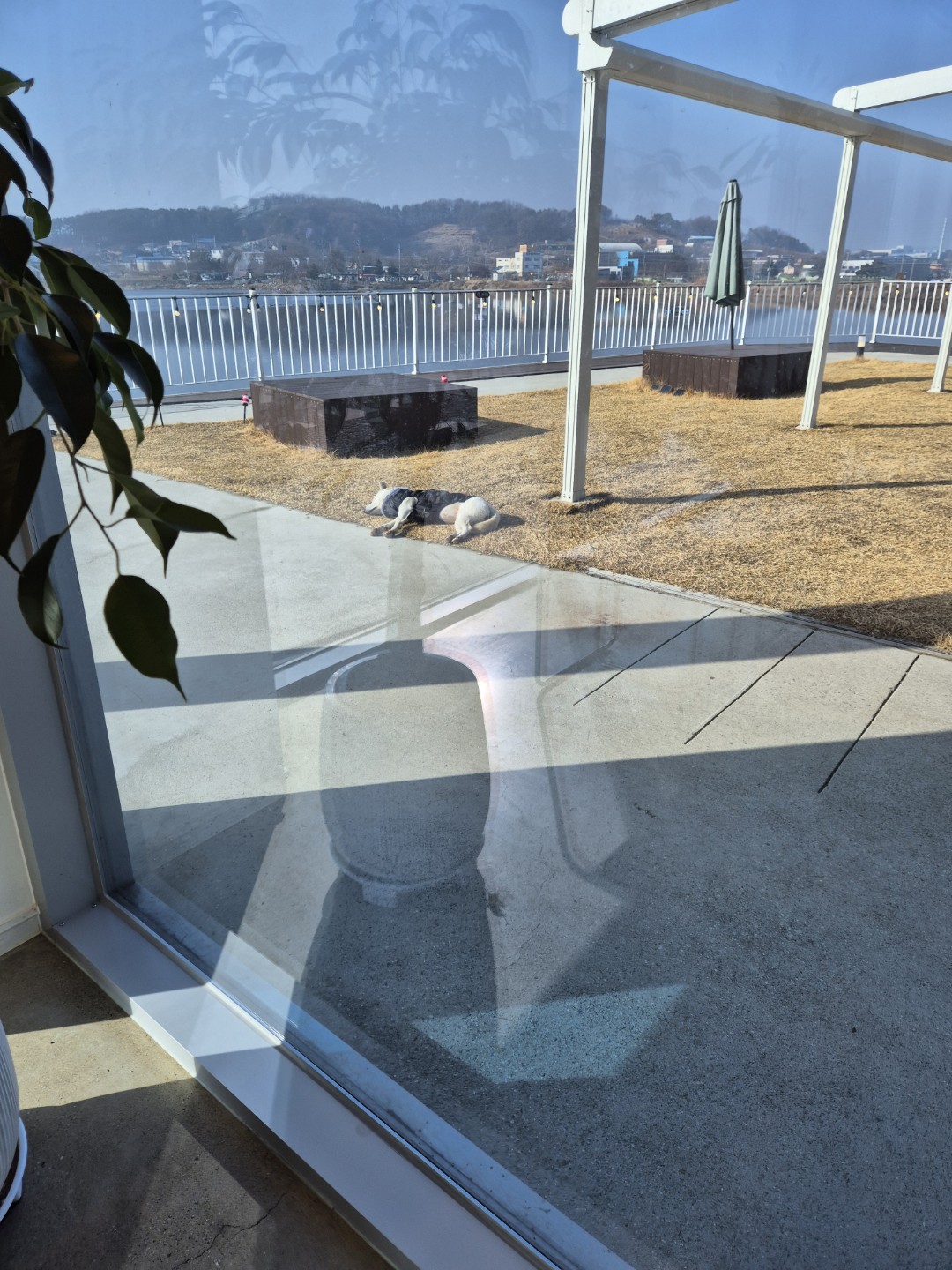 Post image 12