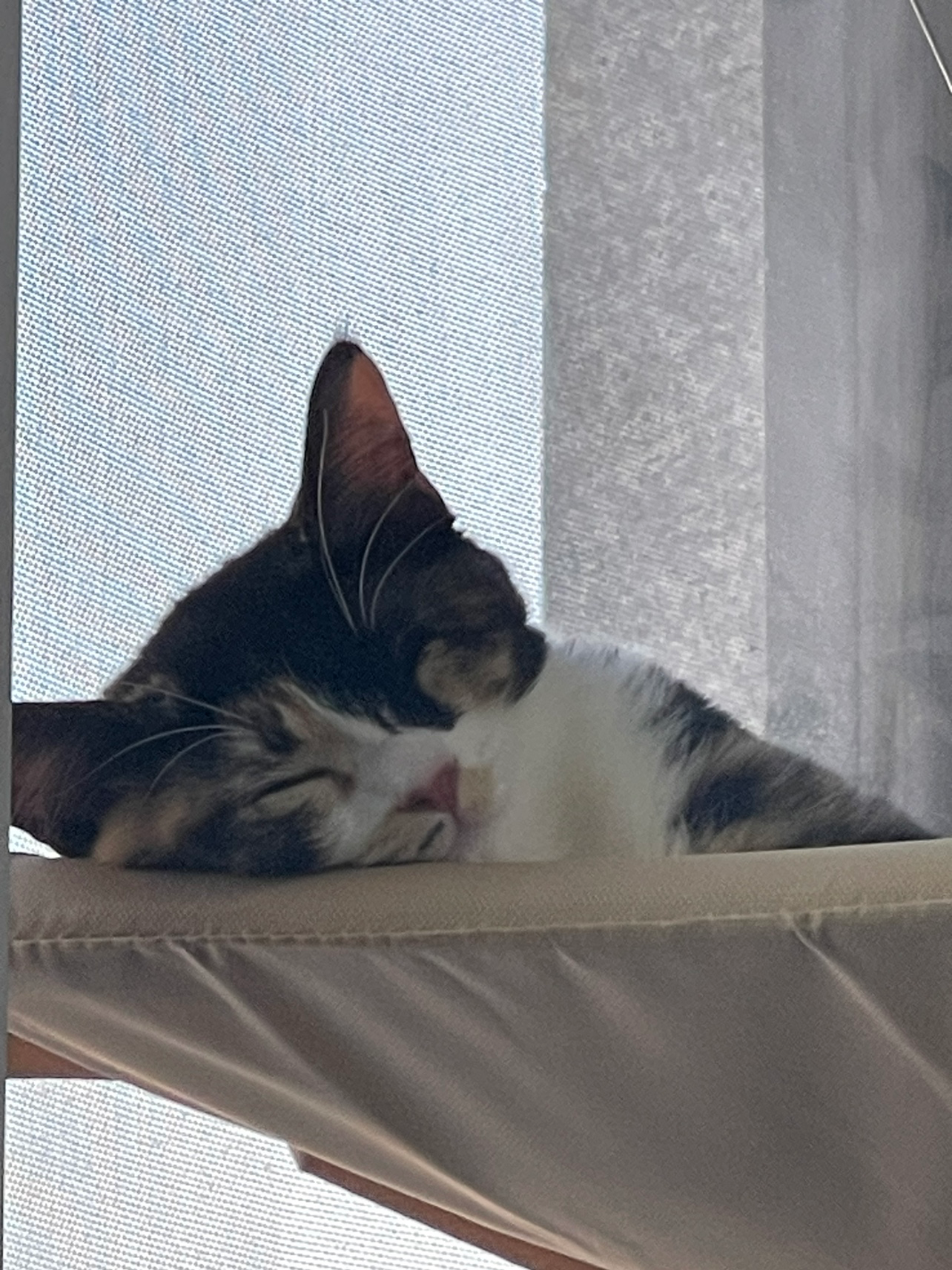 안녕하세요 감자언니입니다!