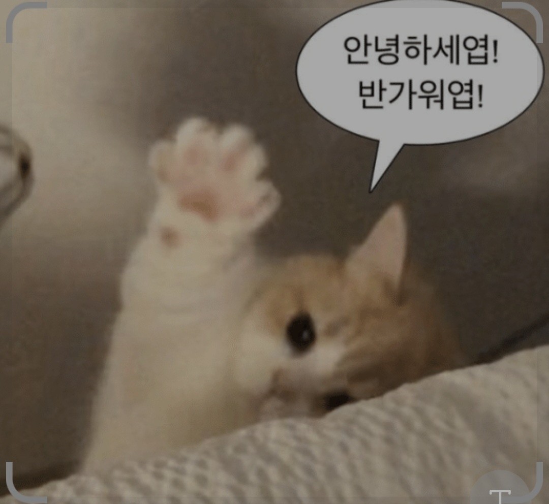 Post image 14