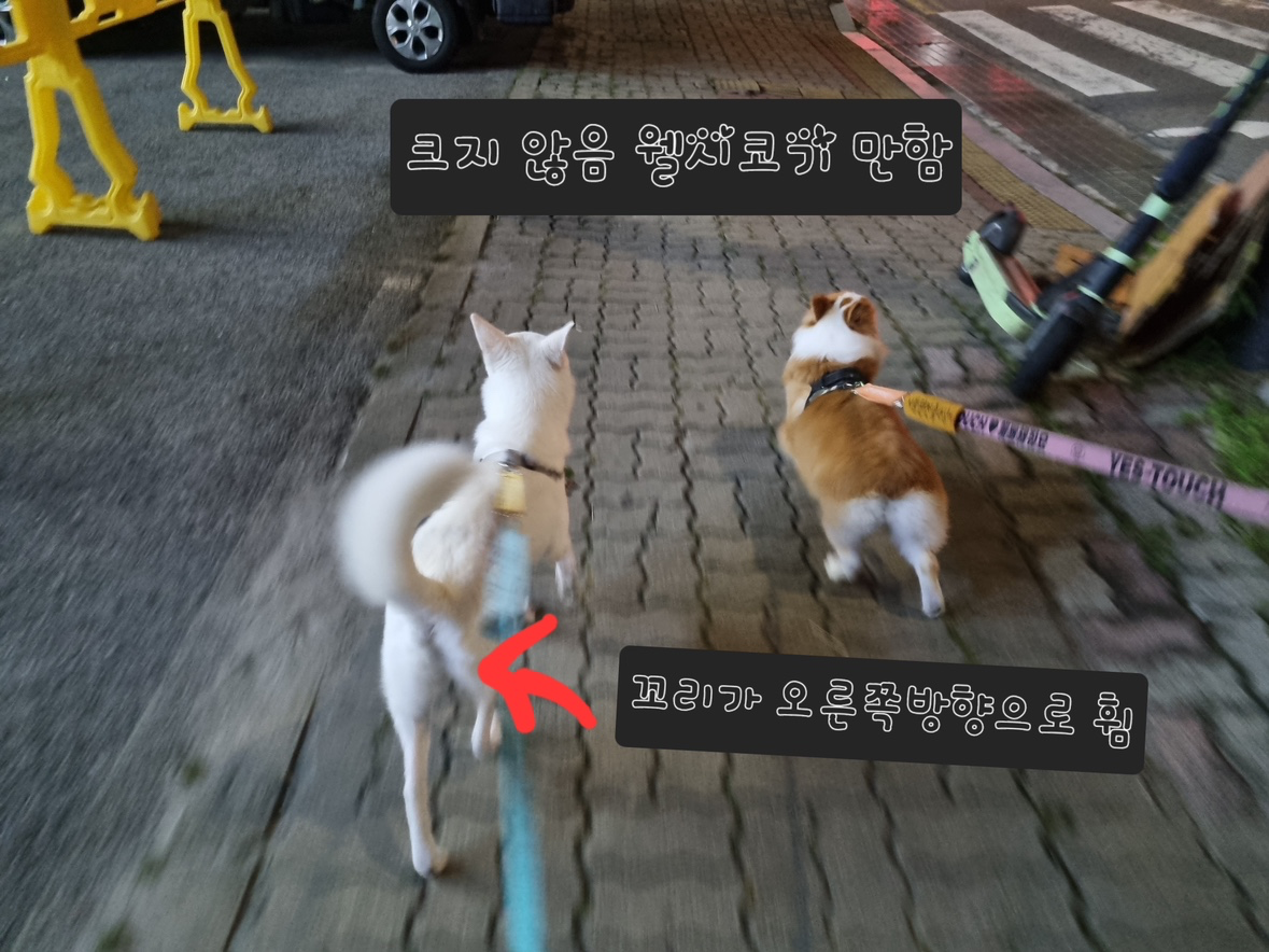 Post image 10