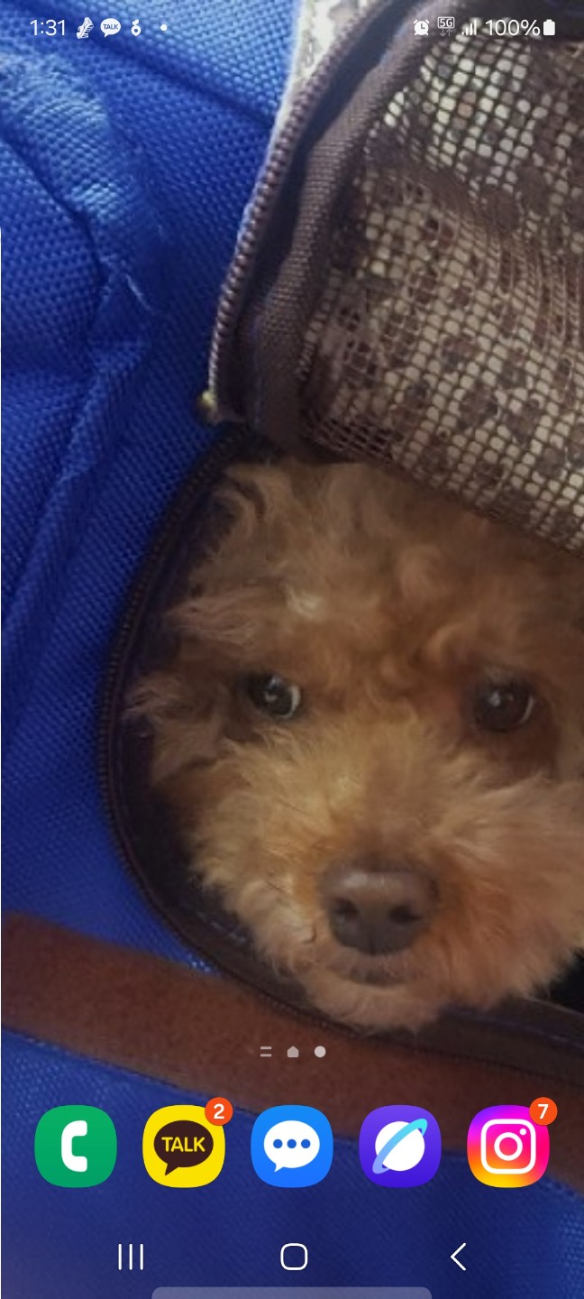 울,, 쭈리,,모습입니다