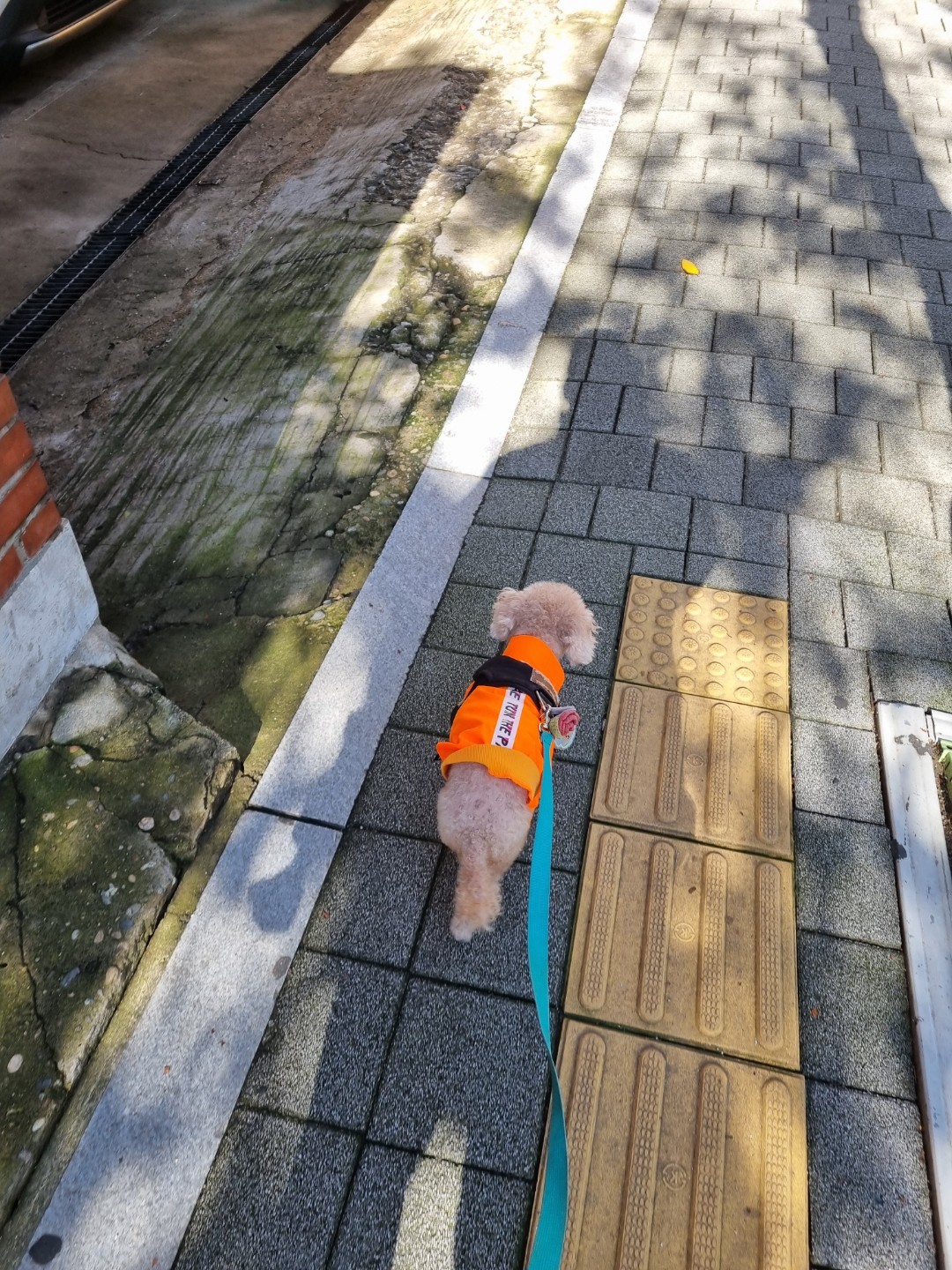 울,, 쭈리,,모습입니다