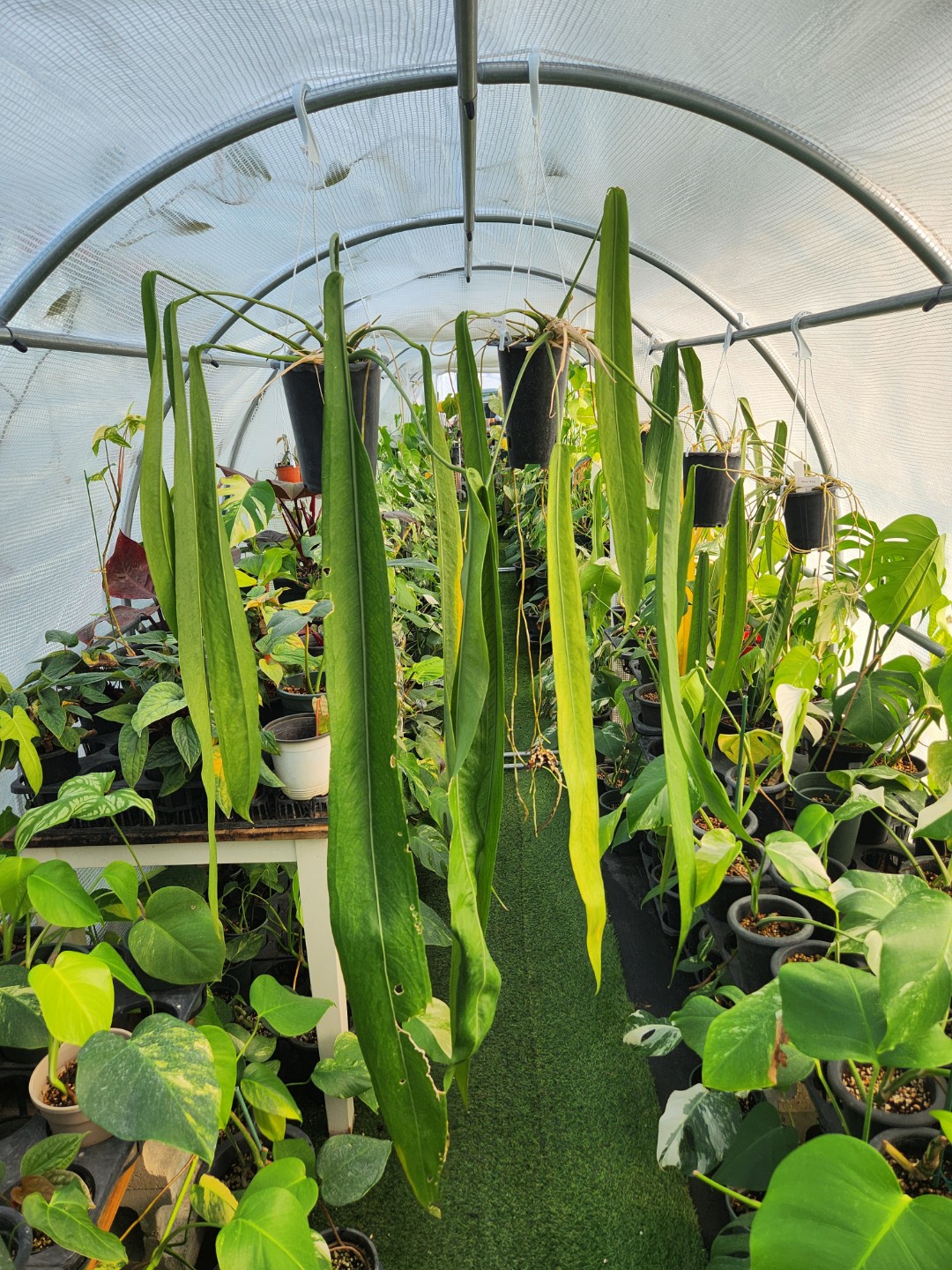 Post image 2