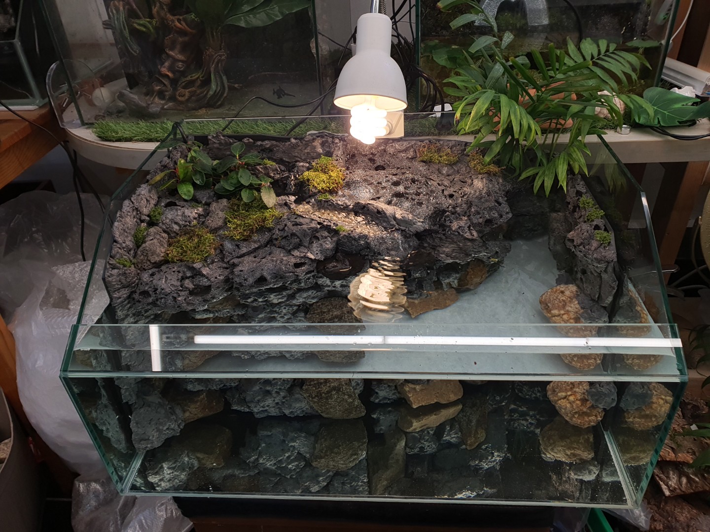 Post image 11