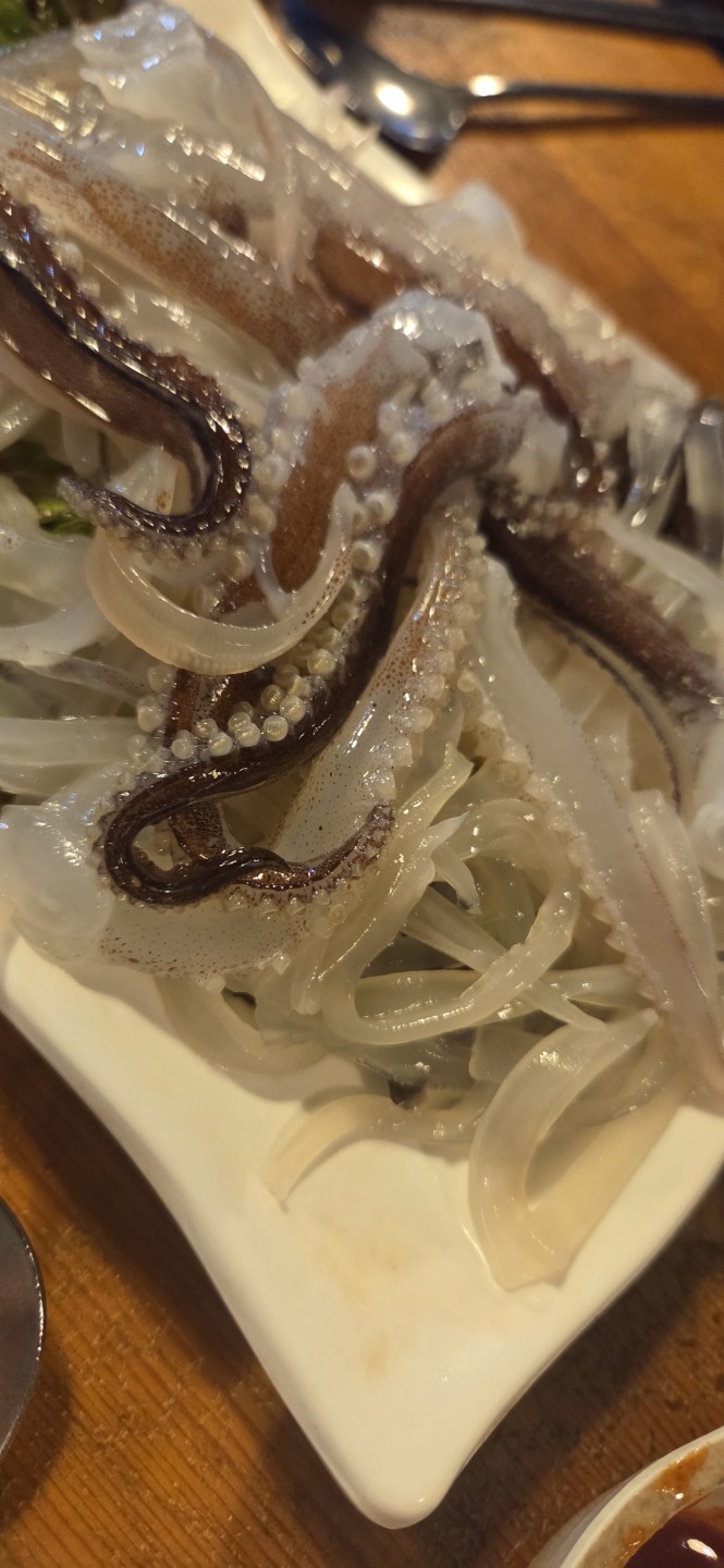 남부터미널에 오징어 회 맛집이 있더라구요
