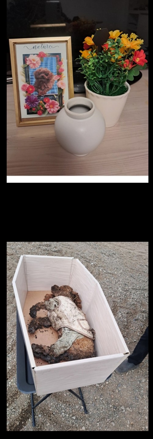 Post image 5