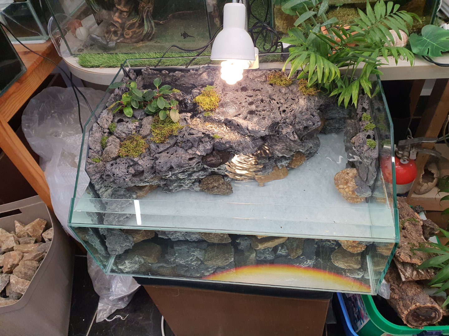 Post image 7