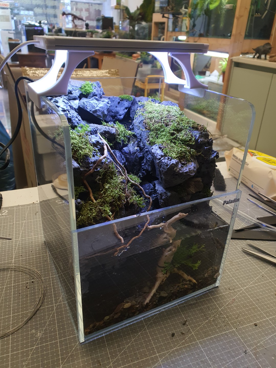 Post image 13