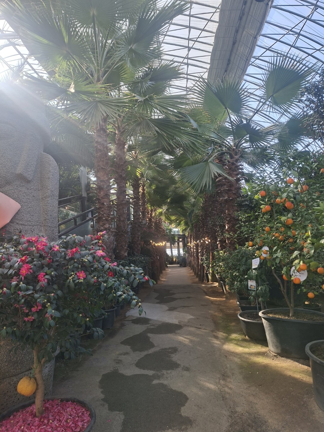 Post image 6