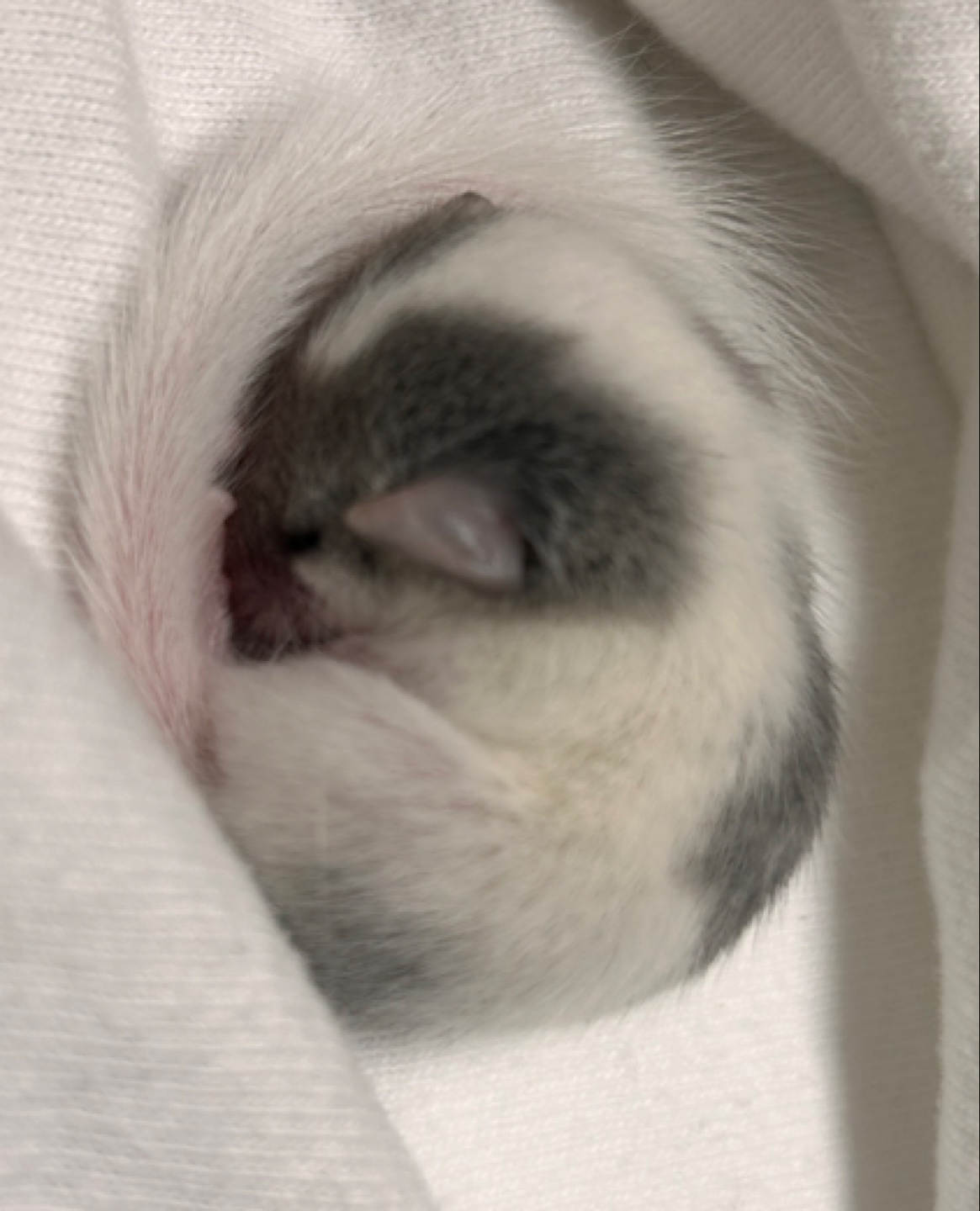 Post image 3