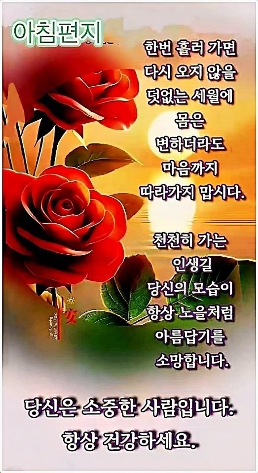 Post image 172