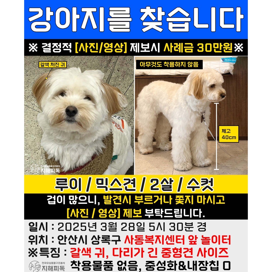 Post image 45