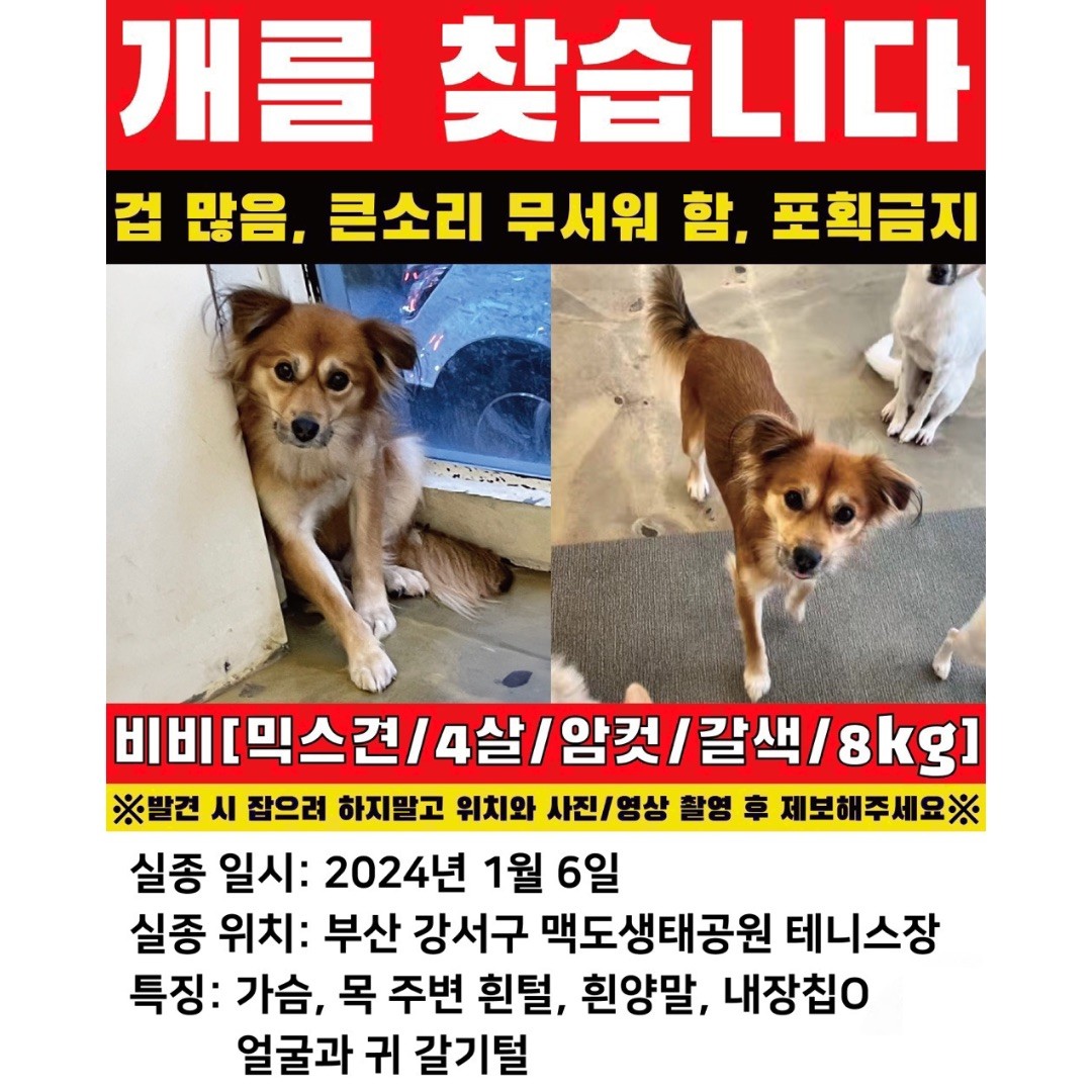 Post image 45