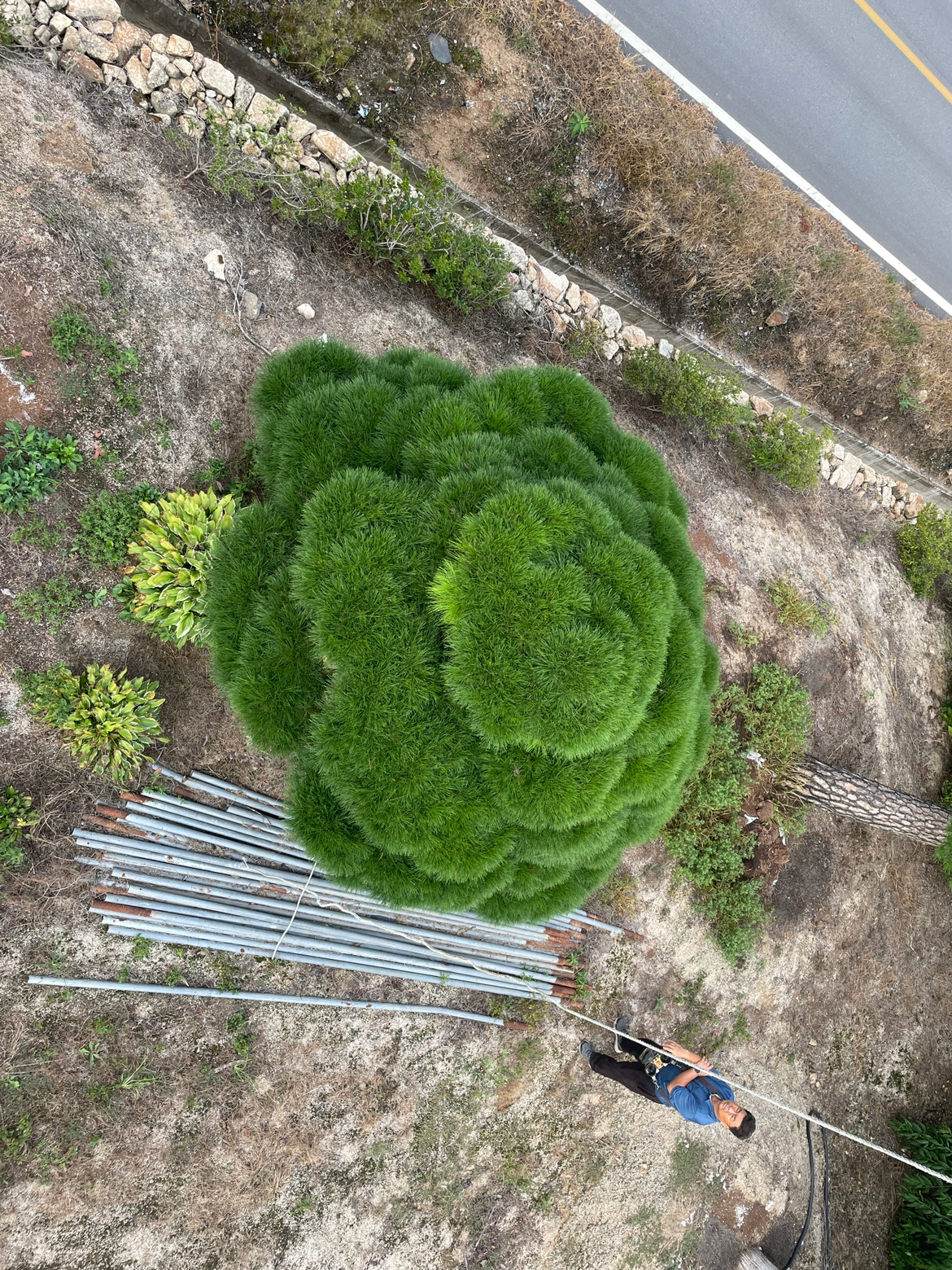 뭉게구름 꽃같네요