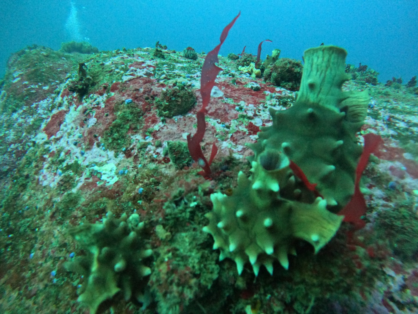 Post image 12